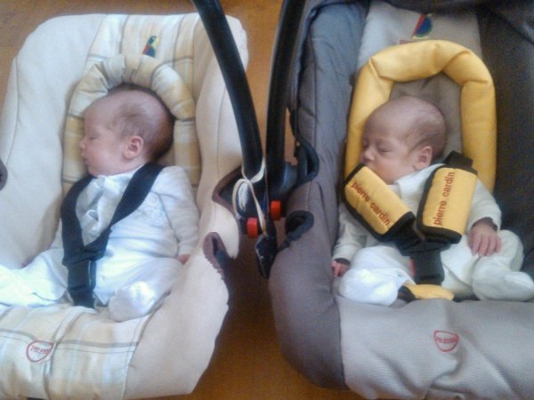 ikrek-hordozoban-fekvo